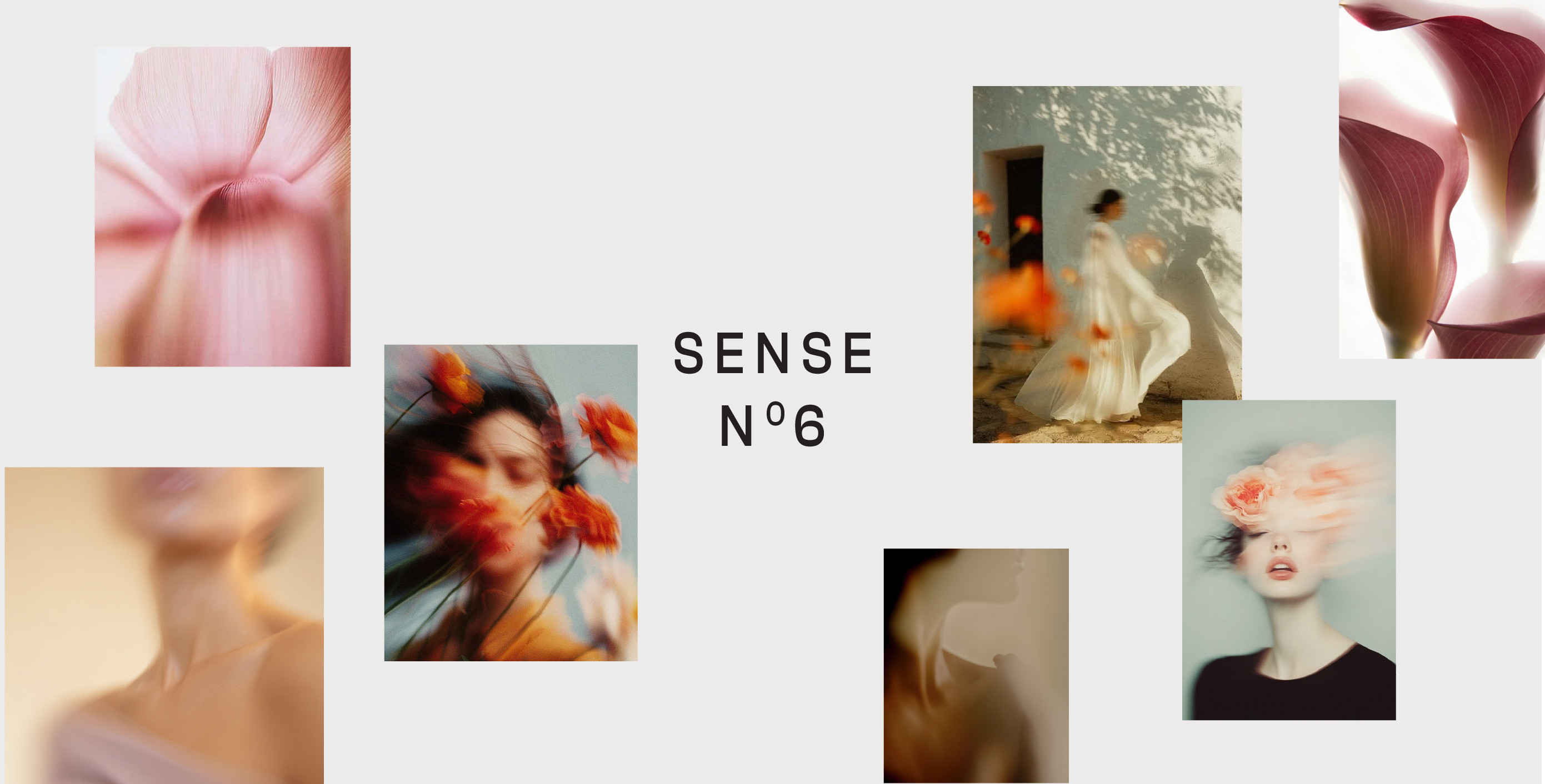 Sense No.6 perfume packaging